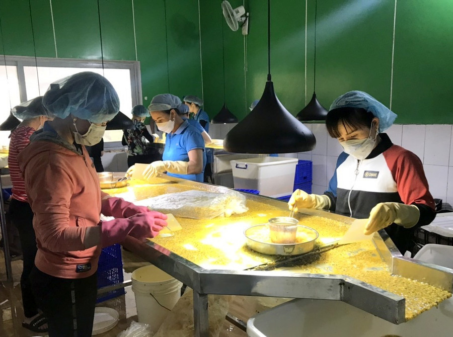 Doanh nghiệp ở Đắk Nông chế biến chanh dây xuất khẩu. Ảnh: Bảo Lâm