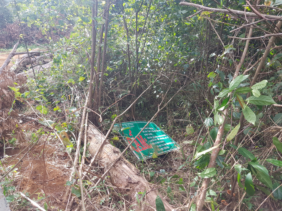 Dù có biển báo cấm phá rừng nhưng cả cây rừng và biển báo đều bị đốn hạ. Ảnh: Trác Rin