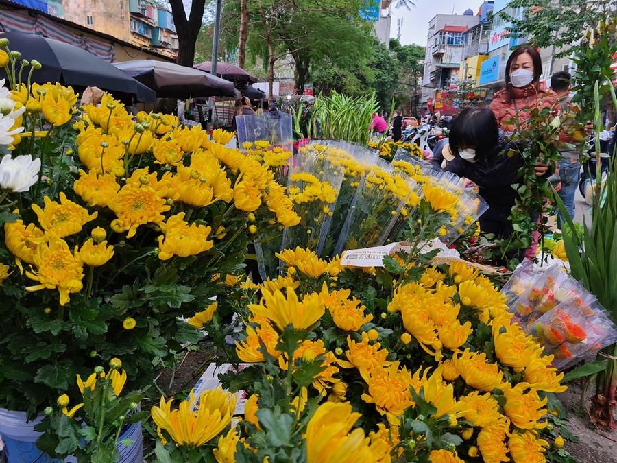 Giá hoa tươi tăng nóng từn ngày. Ảnh: Vũ Long