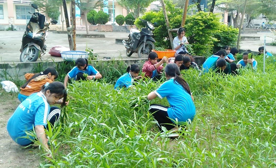 Các em học sinh Trường THCS Dân tộc Nội trú huyện Ia Pa chăm sóc vườn rau sau giờ tan học. Ảnh: Vũ Chi