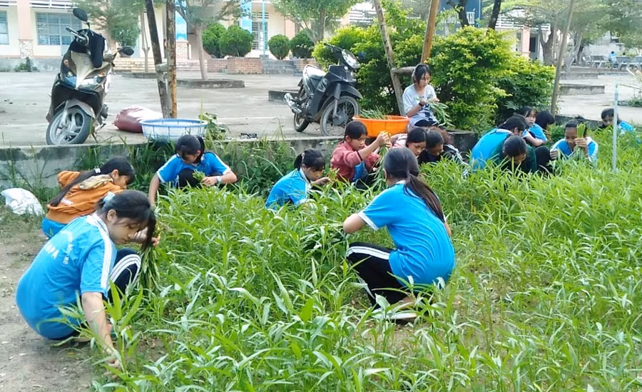 Các em học sinh Trường THCS Dân tộc Nội trú huyện Ia Pa chăm sóc vườn rau sau giờ tan học. Ảnh: Vũ Chi