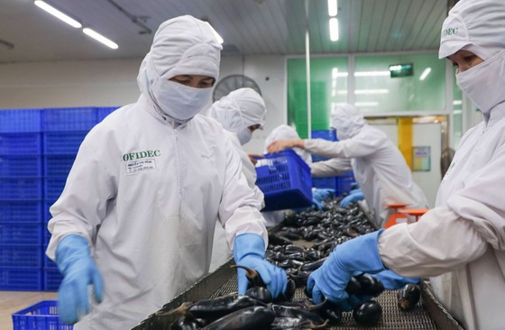 Công nhân một công ty tại TPHCM đang thao tác trên dây chuyền sản xuất thực phẩm. Ảnh: HOÀNG HÙNG Công nhân một công ty tại TPHCM đang thao tác trên dây chuyền sản xuất thực phẩm. Ảnh: HOÀNG HÙNG