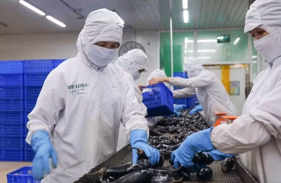 Công nhân một công ty tại TPHCM đang thao tác trên dây chuyền sản xuất thực phẩm. Ảnh: HOÀNG HÙNG