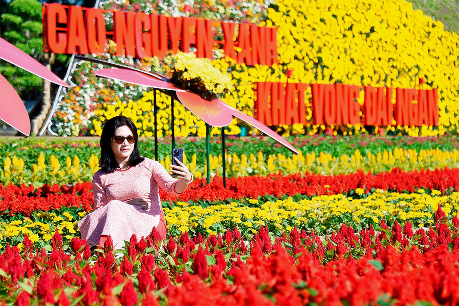 Con đường hoa mang chủ đề “Cao nguyên xanh-Khát vọng đại ngàn” mang theo khát vọng của Pleiku về trở thành một thành phố hiện đại-văn minh. 