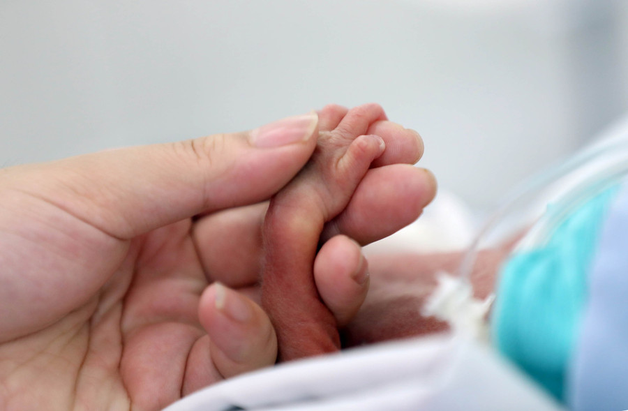 Bàn tay bé xíu của con anh Phạm Nhân Trung.