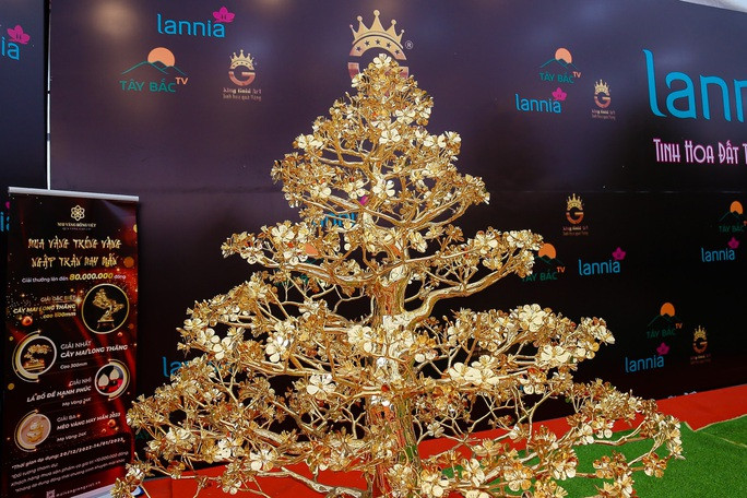 Cây mai này cao 3 m, đường kính 2 m, được đúc bằng đồng nguyên khối, mạ vàng 24K với số lượng 120,96 chỉ vàng nặng tới 288kg. Bên ngoài phủ lớp nano cao cấp để bảo vệ vàng và chống bám bụi.