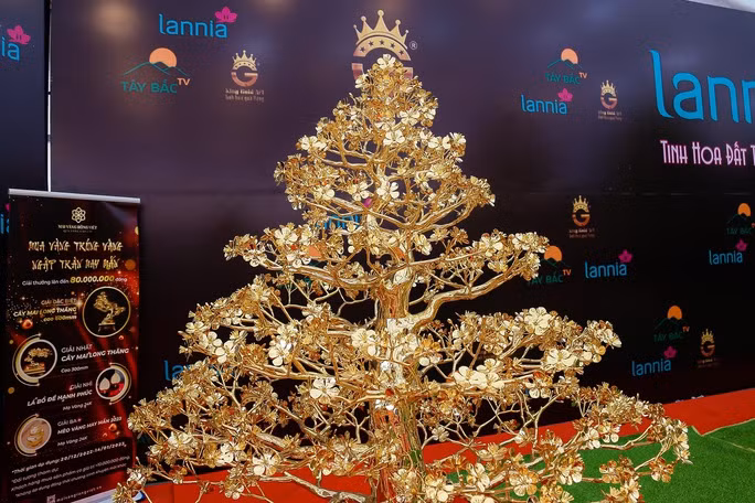 Cây mai này cao 3 m, đường kính 2 m, được đúc bằng đồng nguyên khối, mạ vàng 24K với số lượng 120,96 chỉ vàng nặng tới 288kg. Bên ngoài phủ lớp nano cao cấp để bảo vệ vàng và chống bám bụi.