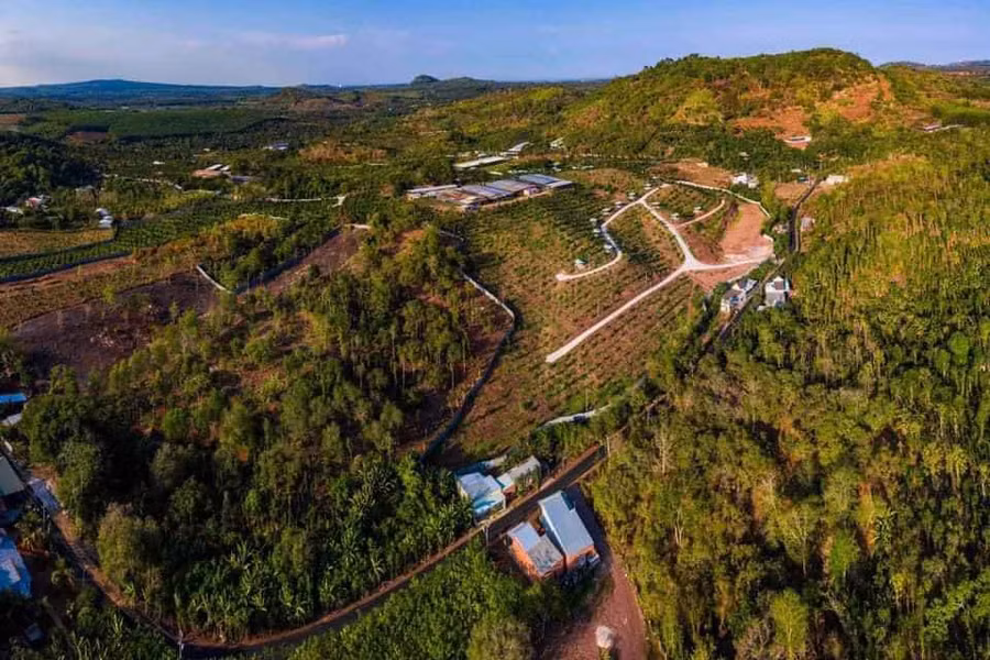  Hình ảnh nhìn từ trên cao xuống vườn trái cây. Ảnh: KDL sinh thái vườn cây Ngô Ánh 