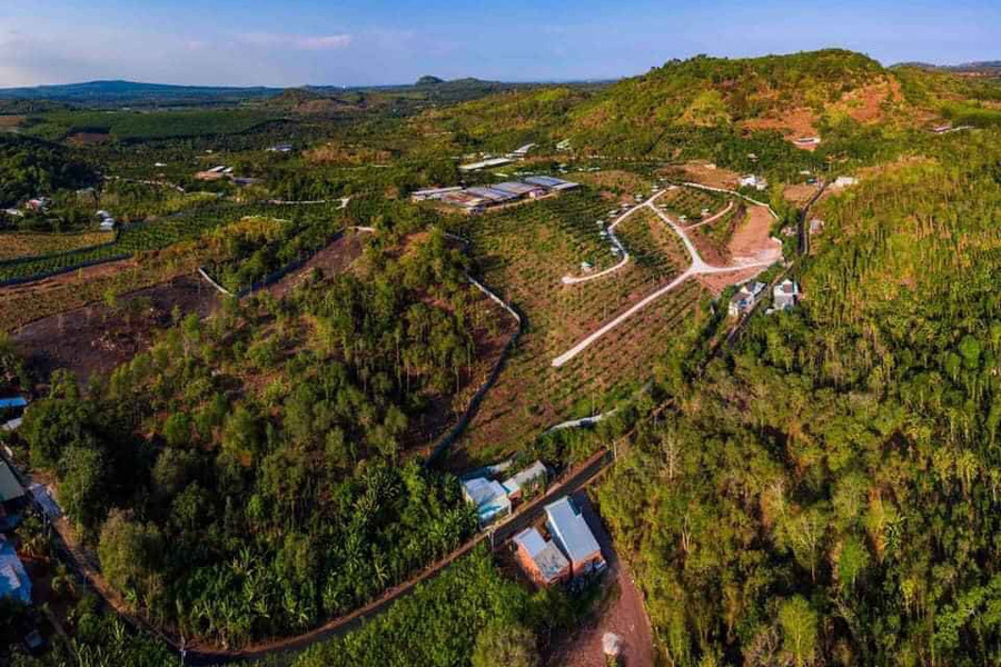  Hình ảnh nhìn từ trên cao xuống vườn trái cây. Ảnh: KDL sinh thái vườn cây Ngô Ánh 