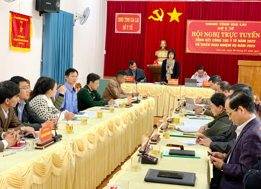 Phó Chủ tịch UBND tỉnh Nguyễn Thị Thanh Lịch phát biểu chỉ đạo tại hội nghị. Ảnh: Như Nguyện Phó Chủ tịch UBND tỉnh Nguyễn Thị Thanh Lịch phát biểu chỉ đạo tại hội nghị. Ảnh: Như Nguyện