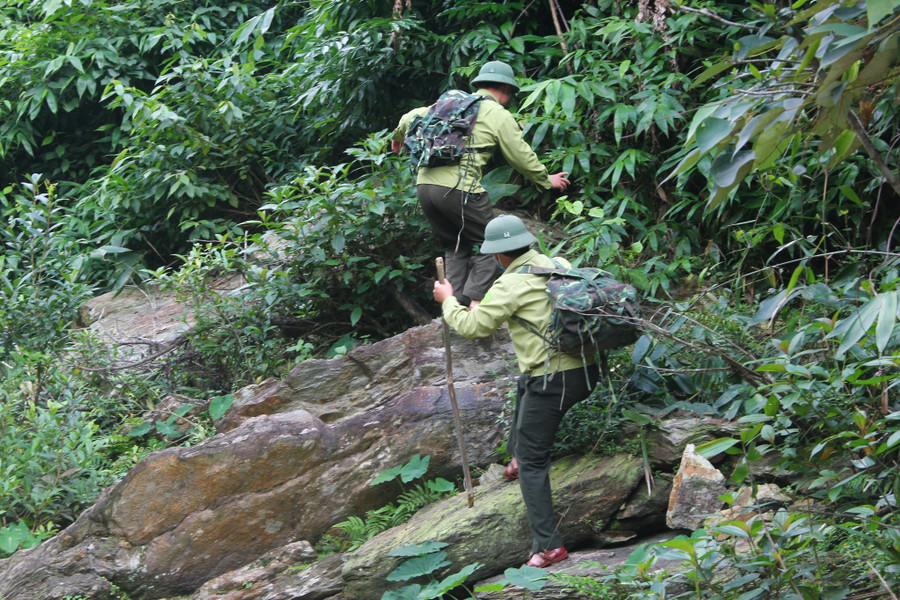 Nhân viên bảo vệ rừng Nghệ An đi tuần. Ảnh: K.HOAN Nhân viên bảo vệ rừng Nghệ An đi tuần. Ảnh: K.HOAN