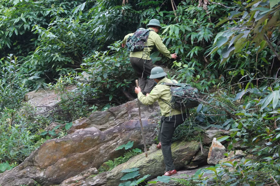 Nhân viên bảo vệ rừng Nghệ An đi tuần. Ảnh: K.HOAN