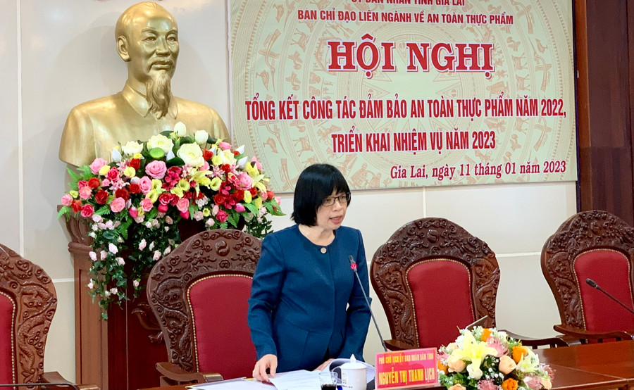 Phó Chủ tịch UBND tỉnh Nguyễn Thị Thanh Lịch phát biểu chỉ đạo tại hội nghị. Ảnh: Như Nguyện Phó Chủ tịch UBND tỉnh Nguyễn Thị Thanh Lịch phát biểu chỉ đạo tại hội nghị. Ảnh: Như Nguyện