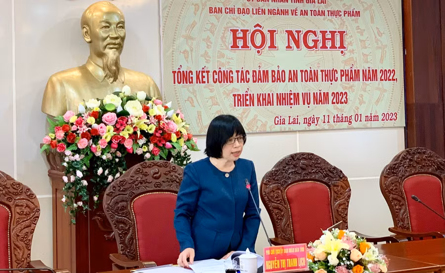 Phó Chủ tịch UBND tỉnh Nguyễn Thị Thanh Lịch phát biểu chỉ đạo tại hội nghị. Ảnh: Như Nguyện