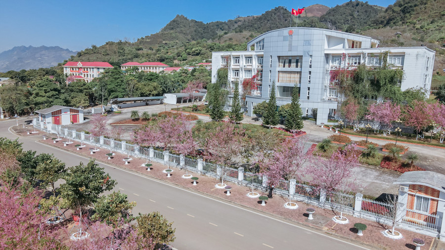 Quang Kiên cho biết mai anh đào đang nở rộ nhất tại khu Quảng trường Mộc Châu, làng chè, sân 224, đồi anh đào ở bản Nậm Tôm, chùa Tân Cương, tiểu khu 26/7... Quang Kiên cho biết mai anh đào đang nở rộ nhất tại khu Quảng trường Mộc Châu, làng chè, sân 224, đồi anh đào ở bản Nậm Tôm, chùa Tân Cương, tiểu khu 26/7...