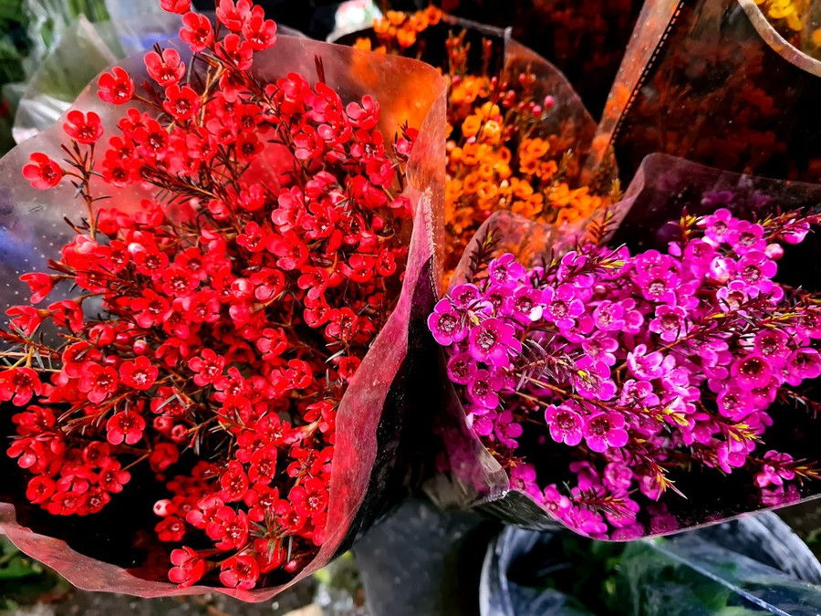 Các loại hoa tươi nhập khẩu như thanh liễu, bạch mai cũng tăng giá mạnh so với trước. Ảnh: Vũ Long