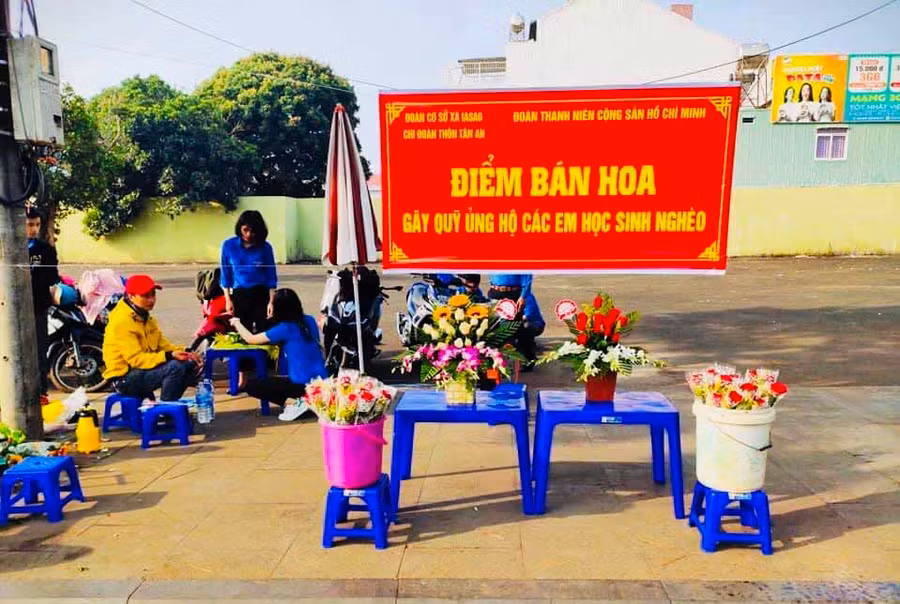  Hoạt động bán hoa gây quỹ của Chi đoàn thôn Tân An. Ảnh: Thủy Bình 