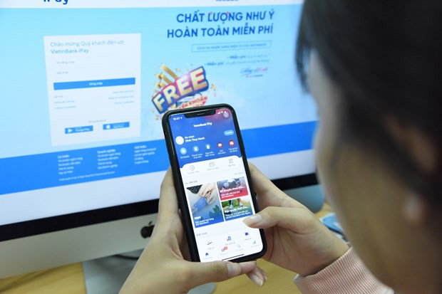Nhiều khách hàng bắt đầu có thói quen mua sắm online. (Ảnh: CTV/Vietnam+)