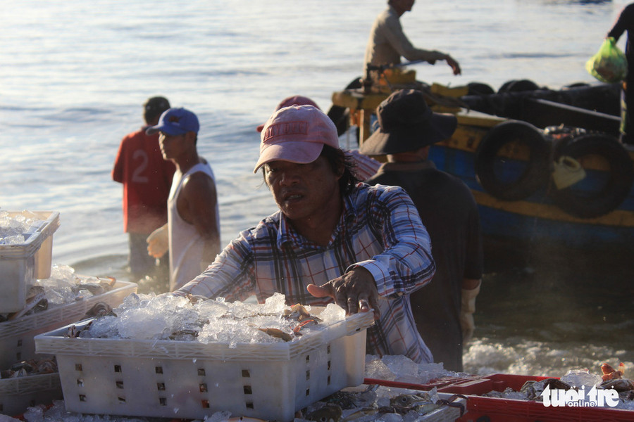 Ngư dân vận chuyển cá lên bờ, đảm bảo cung cấp sản phẩm tươi ngon nhất - Ảnh: THANH NGÂN