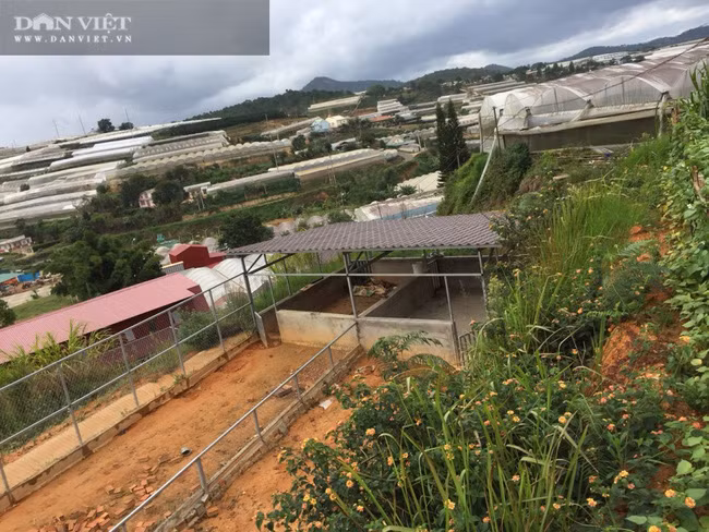 Một góc nông trại của bà Hằng. Ảnh: C.T.V