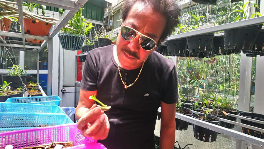 Nghệ nhân Hùng Xiếc choáng với một mầm lan có giá 10 triệu đồng.