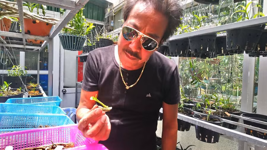 Nghệ nhân Hùng Xiếc choáng với một mầm lan có giá 10 triệu đồng.