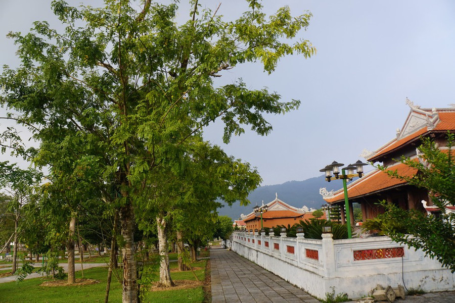 Hàng cây bồ kết trong khu di tích Truông Bồn - Ảnh: Bùi Thuận