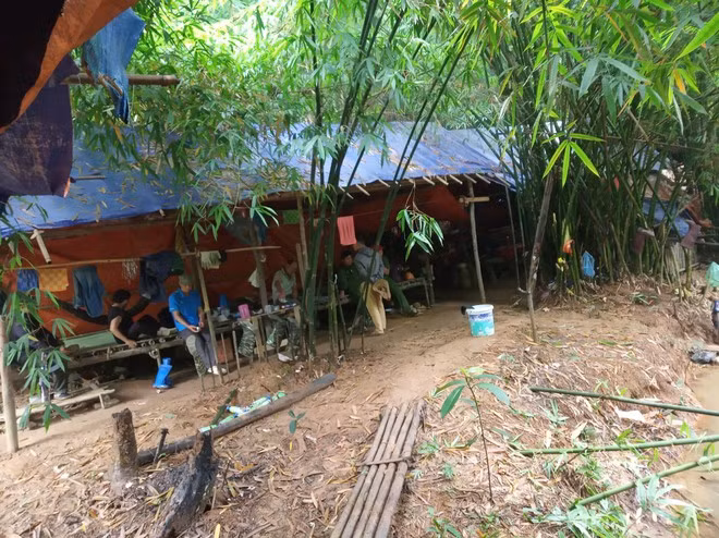 Lán trại của “vàng tặc” trong rừng. ẢNH: PHAN BÁ