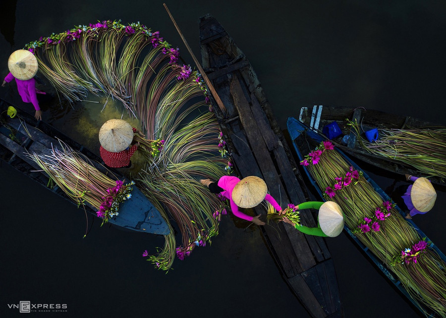 Những cô gái buộc bông súng thành từng luống để lên thuyền.