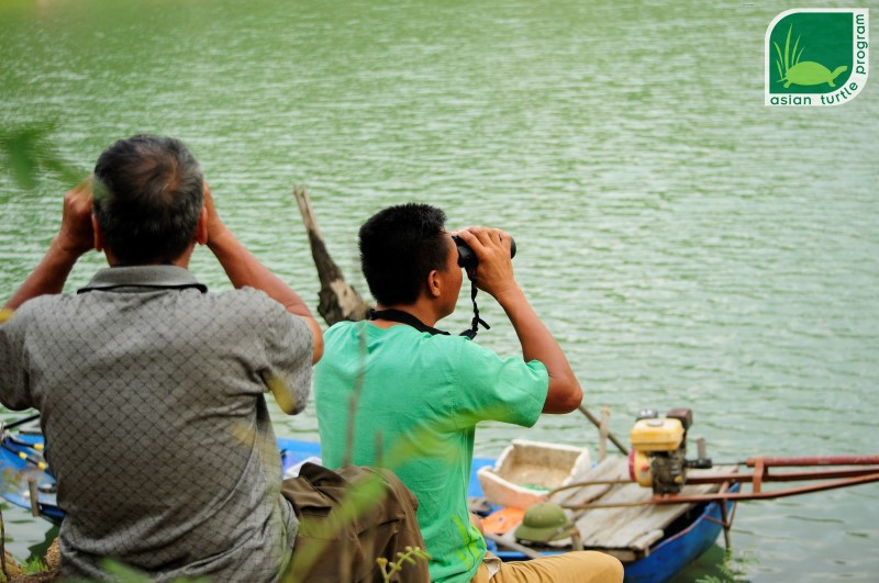 Trong 13 năm qua, nhân viên ATP/IMC đã làm việc tại hồ Đồng Mô để quan sát và ghi lại các lần nổi và tập tính của cá thể rùa lớn và tuyên truyền công tác bảo tồn tại cộng đồng địa phương. Ảnh: ATP Trong 13 năm qua, nhân viên ATP/IMC đã làm việc tại hồ Đồng Mô để quan sát và ghi lại các lần nổi và tập tính của cá thể rùa lớn và tuyên truyền công tác bảo tồn tại cộng đồng địa phương. Ảnh: ATP