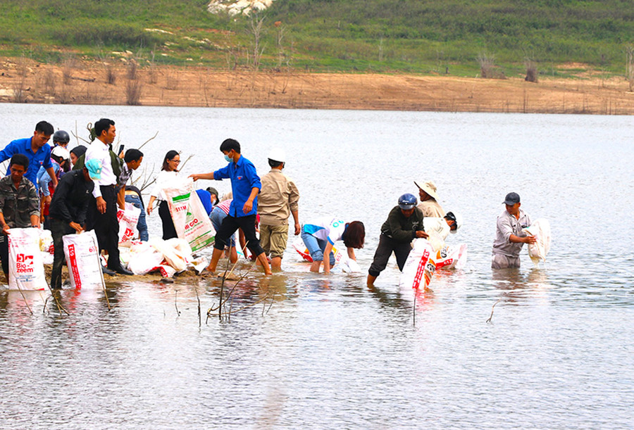  Thả 84.800 con cá giống xuống hồ thủy điện Ka Nak (thủy điện An Khê-Ka Nak, huyện Kbang). Ảnh: Ngọc Minh