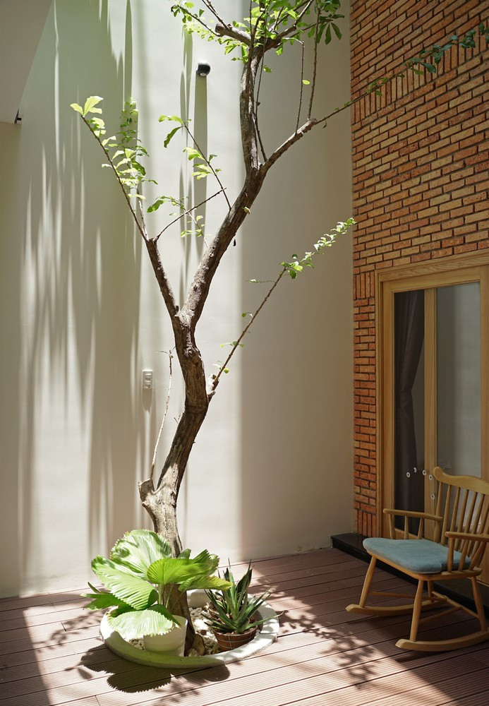 Cây phát triển tươi tốt dưới đáy giếng trời. Cây phát triển tươi tốt dưới đáy giếng trời.