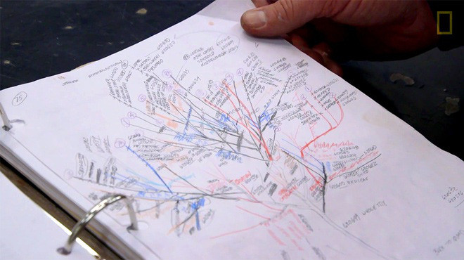 Theo thông tin trên website của Van Aken, đến nay, khoảng 20 cây tương tự đã được anh tạo ra và trồng ở các bảo tàng, trung tâm cộng đồng hay bộ sưu tập nghệ thuật cá nhân trên khắp nước Mỹ. Mỗi cây được ghép từ nhiều loại trong số 250 loại cây quả hạch. Ảnh: National Geographic.