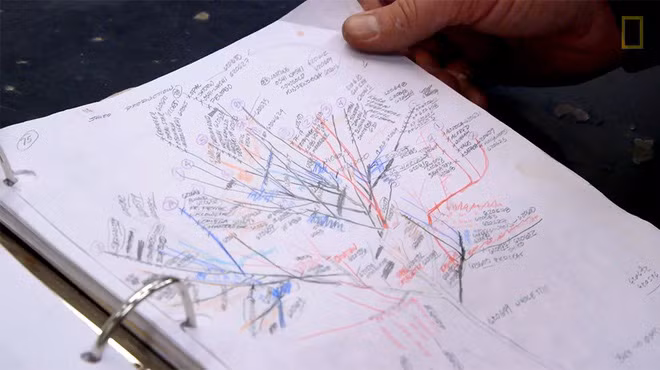 Theo thông tin trên website của Van Aken, đến nay, khoảng 20 cây tương tự đã được anh tạo ra và trồng ở các bảo tàng, trung tâm cộng đồng hay bộ sưu tập nghệ thuật cá nhân trên khắp nước Mỹ. Mỗi cây được ghép từ nhiều loại trong số 250 loại cây quả hạch. Ảnh: National Geographic.