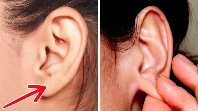 Mát xa tai giúp giải tỏa căng thẳng ẢNH MINH HỌA: SHUTTERSTOCK