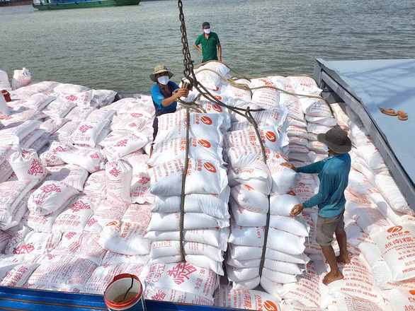 Gạo được chuyển lên tàu ở miền Tây chuẩn bị đem đi xuất khẩu - Ảnh: B.ĐẤU Gạo được chuyển lên tàu ở miền Tây chuẩn bị đem đi xuất khẩu - Ảnh: B.ĐẤU