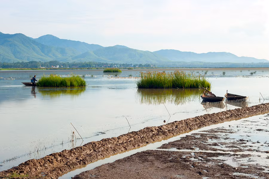  Đầm Trà Ổ (huyện Phù Mỹ, tỉnh Bình Định). Ảnh: INTERNET