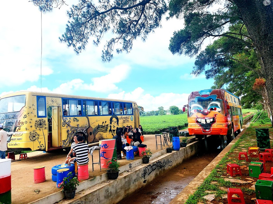  Quán cà phê bên hàng thông trăm tuổi - Ảnh: Khuê Việt Trường