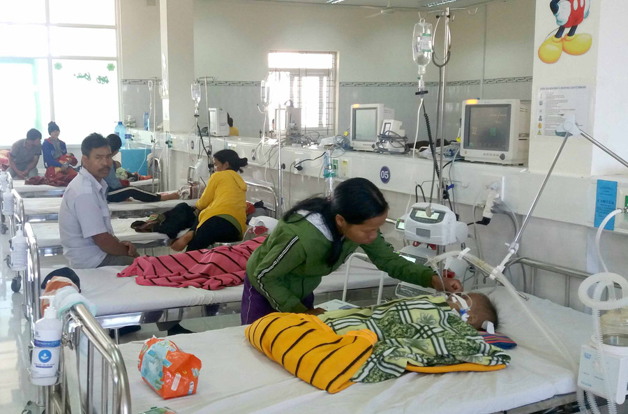 Ngộ độc thịt cóc, nấm độc nếu không được cấp cứu kịp thời có thể gây tử vong. Ảnh: Như Nguyện 