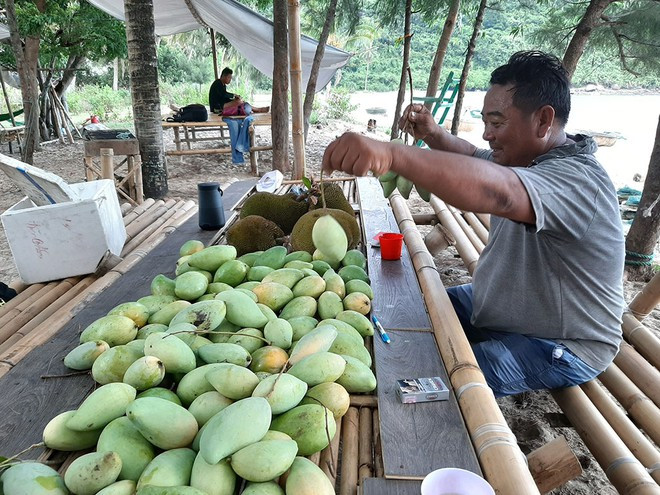 Tý trước trái cây hái trên rừng làng Vân ẢNH: NGUYỄN THẾ THỊNH