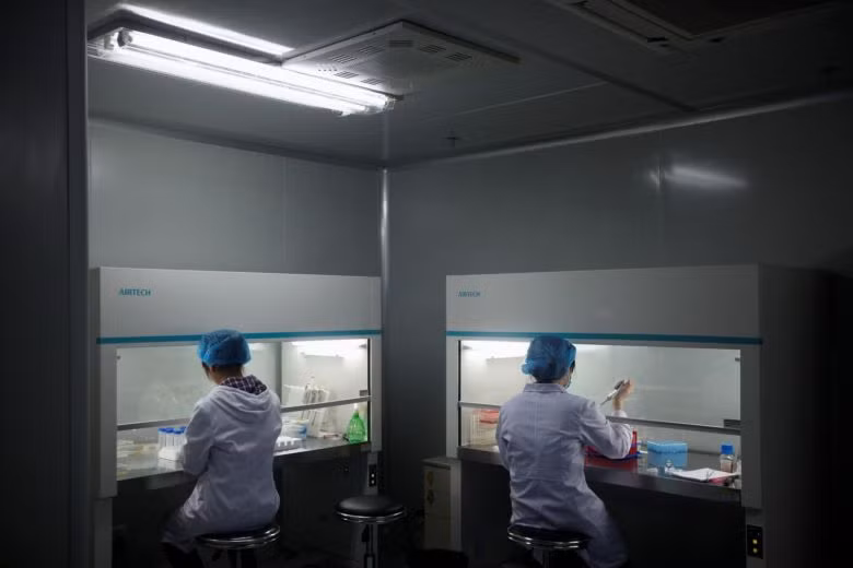  Trung Quốc vừa phê duyệt thử nghiệm lâm sàng một loại vắc-xin ngừa Covid-19 được nuôi cấy trong tế bào côn trùng. Ảnh: Reuters