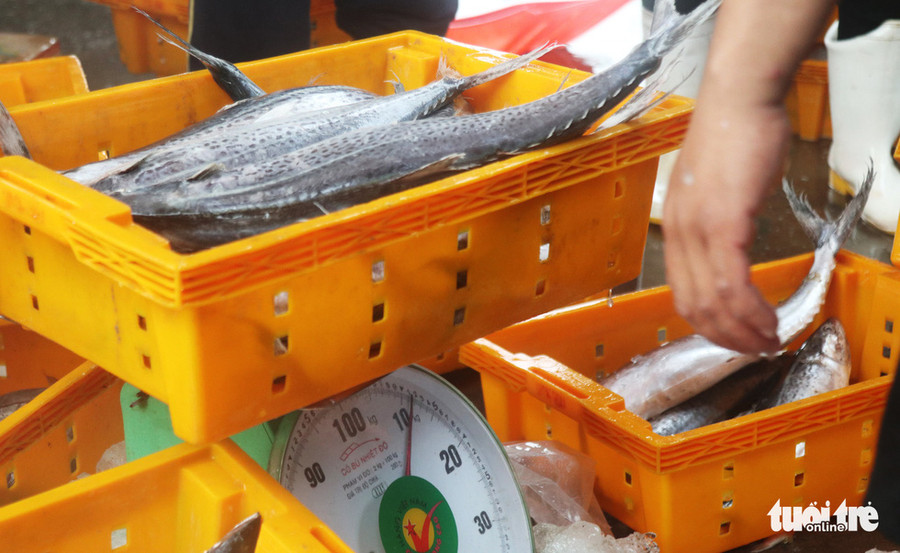 Bà con ngư dân tranh thủ sửa lại ngư cụ trong thời gian vào bờ trú bão - Ảnh: DOÃN HÒA