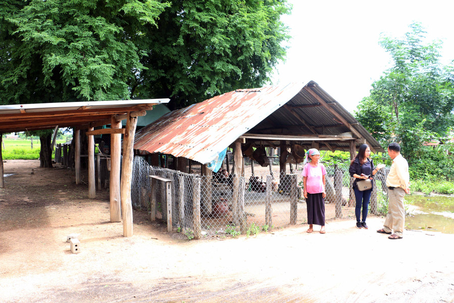 Làng Plei Amăng là làng Jrai đầu tiên trên địa bàn không còn chôn cất người chết tại khu nhà mồ của làng. Ảnh: Trần Dung