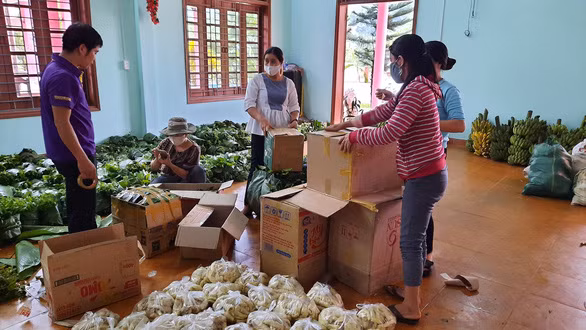 Rau măng đóng gói sẵn sàng tiếp tế miền xuôi gần 10 tấn - Ảnh: TRẦN NGUYỄN VỸ