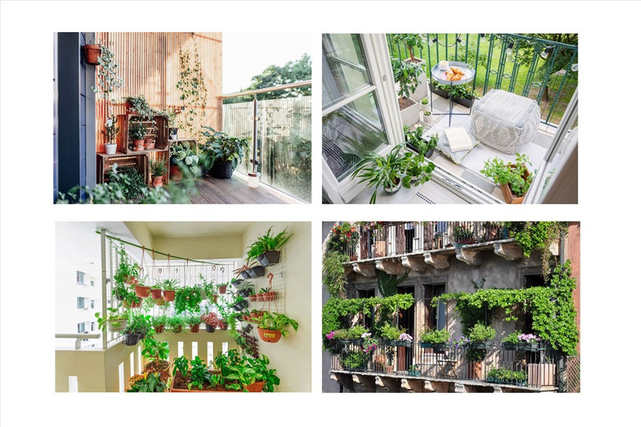 Đồ họa: Thiều Trang