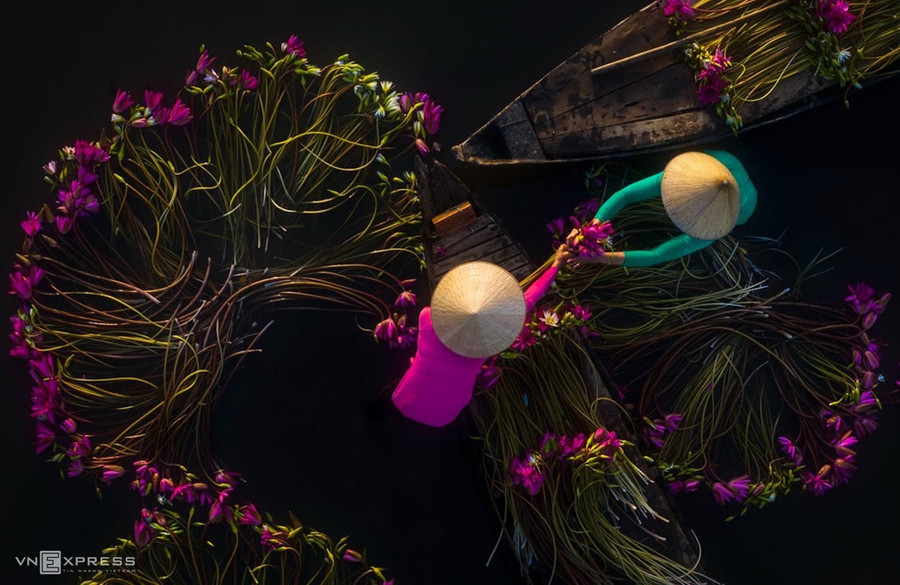 Trên vùng ngập nước, mảng tối màu nước tương phản với những bông hoa và tà áo bà ba nhiều sắc màu.