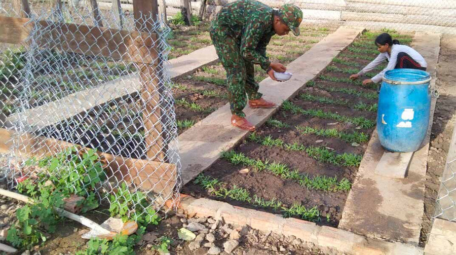 Bộ đội Biên phòng hướng dẫn gia đình bà Chah trồng rau xanh. Ảnh: Phương Dung 