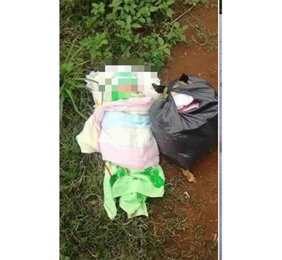 Ảnh minh họa Ảnh minh họa