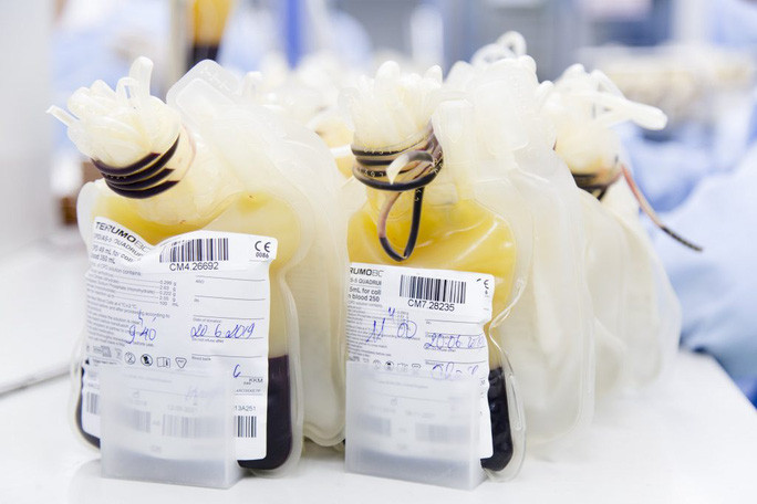 Huyết tương sẽ được gạn tách từ máu của người hiến - Ảnh: Công Thắng Huyết tương sẽ được gạn tách từ máu của người hiến - Ảnh: Công Thắng