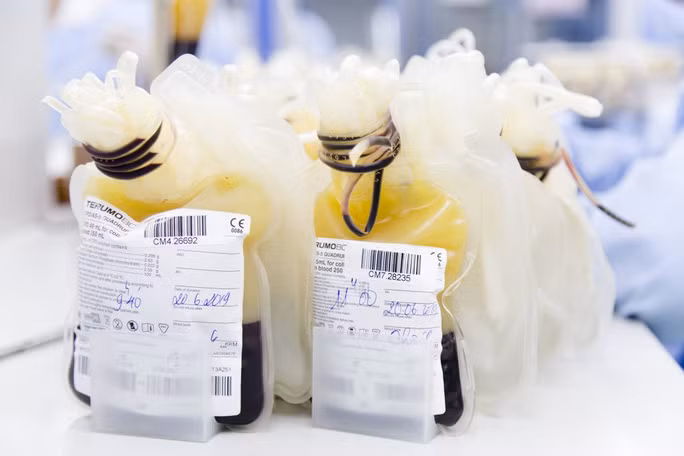 Huyết tương sẽ được gạn tách từ máu của người hiến - Ảnh: Công Thắng